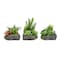 Pure Garden Artificial Succulent Plants 3-Piece Arrangement Set in Faux Stone Pots and Assorted Sizes 50-LG1123 - alternate 1