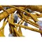 Caterpillar HARNESS AS, CATERPILLAR OEM 2993429 2993429 - alternate 8