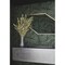 York Wallcoverings Fern Fronds Black and Green Wallpaper AG2061 - alternate 6