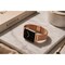 Elegani Mesh Stainless Steel Replacement Band Compatible with Apple Watch 46mm, Rose Gold SBMSD-RGD-46mm - alternate 5