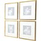 Homeroots Set Of Four Echinacea Gold Framed Print Wall Art, 4PK 525647 - alternate 4