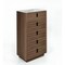 Homeroots 28" Black and White Solid and Manufactured Wood Multi Drawer Standard Chest 491552 - alternate 1