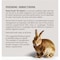 Kent Home Fresh Pro Hutch 16 50 Lb. Rabbit Feed 3692 - alternate 4
