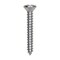 Auveco Phillips Oval Head Tapping Screw 6 x 1in Chrome, 100PK 1796 - alternate 1