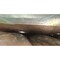 John Deere HOUSING, JOHN DEERE OEM T128496 T128496 - alternate 3
