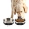 Petmaker Set of 2 Stainless Steel Dog Bowls 32oz Double Wall Insulated Non Slip Metal for Small-Medium Pets PET6425 - alternate 4
