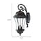 Homeroots Waverly 3-Light Black Coral Wall Light 398366 - alternate 4