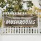 Signmission Farm Fresh Mushrooms, 24 Inch x 72 Inch, Vinyl Banner B-72-30602 - alternate 4
