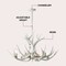 Jonathan Y Eldora 33" 6-Light Rustic Farmhouse Adjustable Resin Antler LED Chandelier, Beige JYL6318B - alternate 8