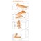 Cmt 5-PIECE COMPLETE KITCHEN SET S=1/2in 800.509.11 - alternate 4