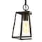 Jonathan Y Ira 6.3 in. Metal LED Pendant, Oil Rubbed Bronze JYL3525B - alternate 10