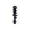 Fcs Struts Suspension Strut And Coil Spring Assembly 2334489L - alternate 1