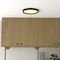 Vaxcel Darien 12-in Contemporary Round Black/Gold LED Flush Mount Ceiling Light with Frosted Shade C0383 - alternate 6