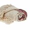 Homeroots Beige and Shades of Pink Strips Woven Handloom Throw Blanket 476230 - alternate 5
