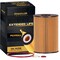 Premium Guard Engine Oil Filter,  PG5904EX - alternate 7