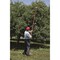 True Temper Telescoping Fruit Picker 2324500 - alternate 2
