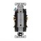 Leviton Receptacle Outlet, 15A, White, 125V WTD15-W - alternate 2