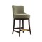 Manhattan Comfort Lucia Counter Stool in Leaf Green, 3PK 3-CS022-GR - alternate 8