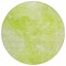 Homeroots 8' Artichoke Green And Lime Green Round Nautical Washable Indoor Outdoor Area Rug 581721 - alternate 7
