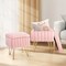 Simple Deluxe Vanity Chair Stool with Storage, Ottoman Soft Faux Fur Padded Makeup Seat, Adjustable Height Footst 3A88HKOTTOASMPNK - alternate 5