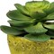 Homeroots 4" Green Succulent Artificial Succulent in a White And Yellow Pot 526889 - alternate 3