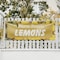 Signmission Farm Fresh Lemons, 24 Inch x 72 Inch, Vinyl Banner B-72-30599 - alternate 5