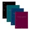 Roaring Spring Case of Wirebound Notebooks, 10.5"x8", 1 Subject, 70 sht, Asstd. Cover Color, College Ruled w/Margin, PK24 10033cs - alternate 6
