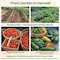 Tomato Crater Root-Zone Watering Ring for Tomatoes & Vegetables - Made in USA Snap-Together Base System for Deep Watering, Reduced Weeds & Healthier Roots, 3-Pack PK3 DP3031-3 - alternate 4