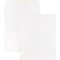 Business Source Filing Envelope, White, Wove, PK100 BSN65451 - alternate 1