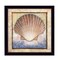 Homeroots Shell Black Framed Print Wall Art 404898 - alternate 4
