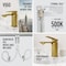 Vigo Dunn Single Handle Single-Hole Bathroom Faucet in Matte Brushed Gold VG01054MG - alternate 5