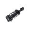Fcs Struts Suspension Strut And Coil Spring Assembly 1331741R - alternate 3