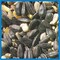 Coles Blue Ribbon Blend Wild Bird Food 20 lb BR20 - alternate 2