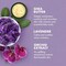 Shea Moisture Lavender Wild Orchid Bath Body and Massage Oil, 8 Fluid Ounce, 24PK 68647710 - alternate 3