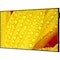 Nec Sharp NEC Display 65" Ultra High Definition Commercial Display ME651 - alternate 1