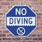Signmission No Diving, 18 Inch X 18 Inch, Plastic Sign OC-P-18-130 - alternate 5