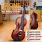 Pyle 1/2 Size Beginner Violin Starter Kit, Violin Starter Package with Travel Case & Bow, Extra Strings PGVILN15 - alternate 4