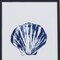 Homeroots Set Of Two Blue And White Seashell Wall Art, 2PK 387723 - alternate 3