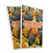 Signmission Gourds, Plastic Signs Only 24 Inch x 36 Inch, Corrugated Plastic, 2PK CSB-2436-2PACK-Gourds - alternate 1