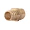 Sharkbite Pipe Connector, 3/4 x 1/2 in, Barb x MNPT, Brass, 160 psi Pressure UC138LFA - alternate 4