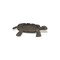 Homeroots 7in Black Turtle Cast Iron Vanity Tray 483157 - alternate 8
