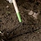 Ames 16-Tine Bow Rake, Welded Steel, Hardwood Handle, Cushion Grip 2825300 - alternate 5