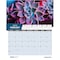 House Of Doolittle Monthly Wall Calendar, Succulent & Cacti, 12 Months, Jan-Dec, 11 in x 14 in 317 - alternate 2