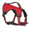 Guardian Gear Reflective Harness, 18 to 30 in, Fastening Method: O-Ring Strap, Nylon Harness, True Red ZA0031 16 83 - alternate 1