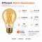 Euri Lighting A19 LED Filament Bulb, 7W, 600 lm, 60W Eq., 2200K, E26, Dimmable, Amber Glass, UL VA19-3020ea - alternate 6