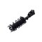 Fcs Struts Suspension Strut And Coil Spring Assembly 1334086R - alternate 3