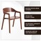 Leisuremod Rivo Collection Elegant Dining Chair in Dark Brown Wood RC20WBR - alternate 7