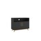 Homeroots Modern Black And Natural Two Door Console Cabinet 389027 - alternate 1