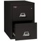 Fireking 15-1/4" W 2 Drawer Fire-Resistant Vertical File Cabinet, Black, Legal 2-2130-2BL - alternate 2