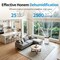 Edendirect 25 pt. 2500 sq. ft. Dehumidifier for Basement in White with Drain Hose, Bucket, with Continuous Run ZRAP12-2602B - alternate 5